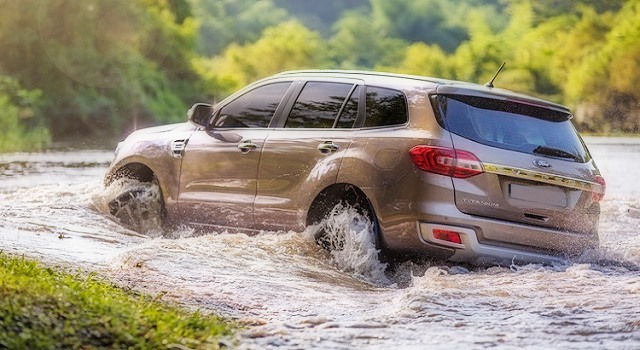 2019 Ford Everest rear