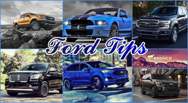 2020 Ford Cars